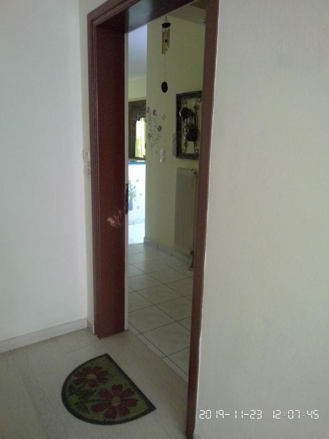 Palina's Comfy Home. *